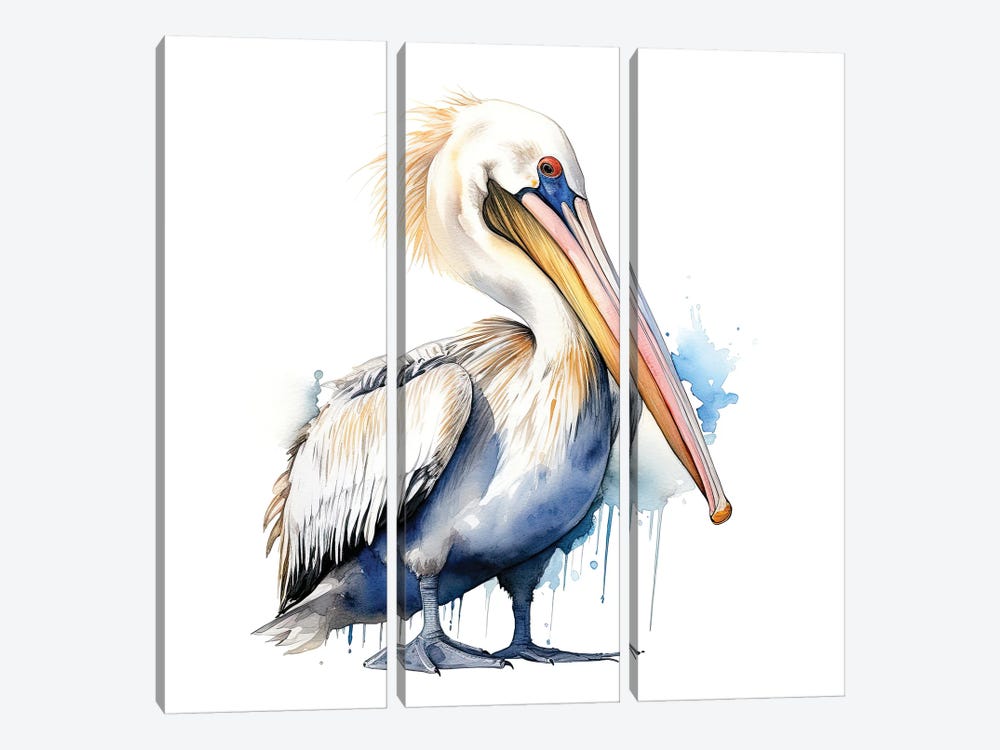 Pelican Watercolour by Jane Rix 3-piece Canvas Print