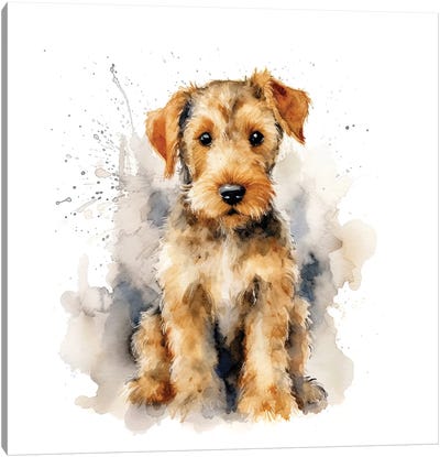 Airedale Puppy Watercolour Canvas Art Print - Airedale Terrier Art