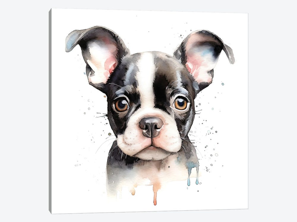 Boston Terrier Portrait by Jane Rix 1-piece Art Print