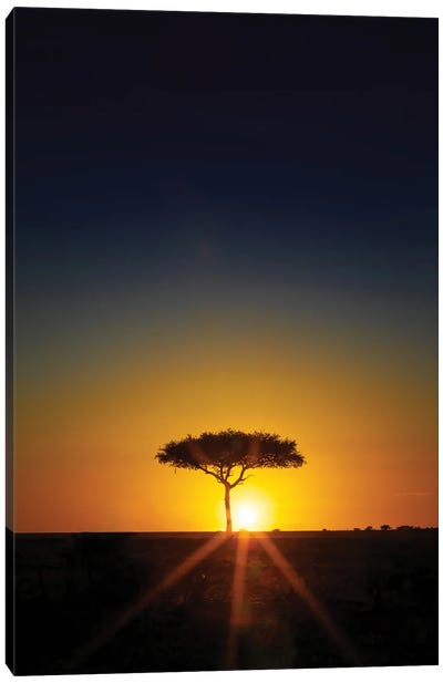 Acacia Tree On The Horizon At Sunset, Masai Mara Canvas Art Print - Maasai Mara National Reserve