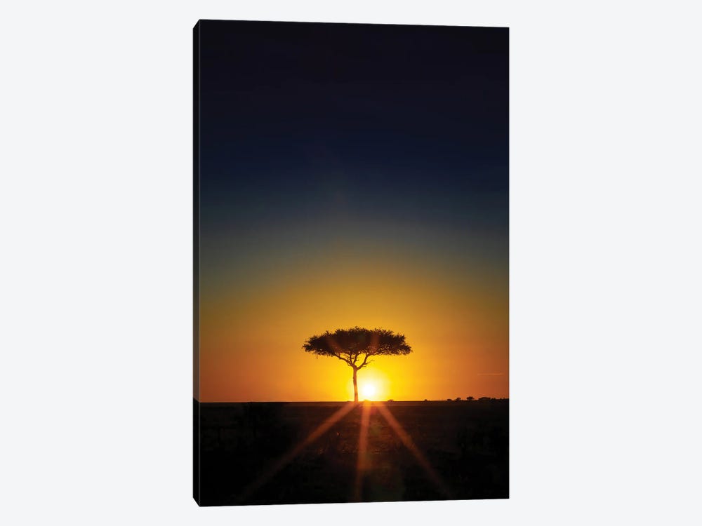 Acacia Tree On The Horizon At Sunset, Masai Mara by Jane Rix 1-piece Canvas Art