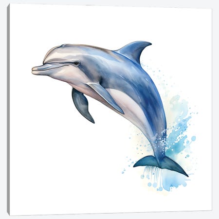 Bottlenose Dolphin Watercolour Canvas Print #JRX531} by Jane Rix Canvas Print