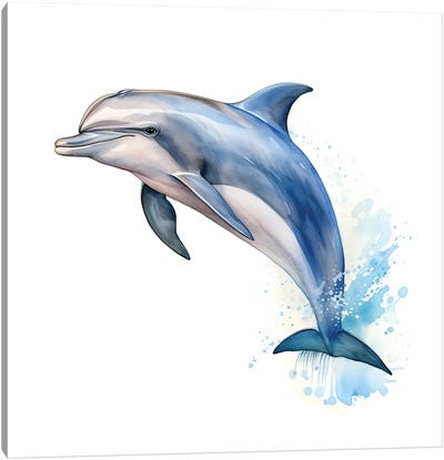 Bottlenose Dolphin Watercolour Canvas Art Print - Jane Rix
