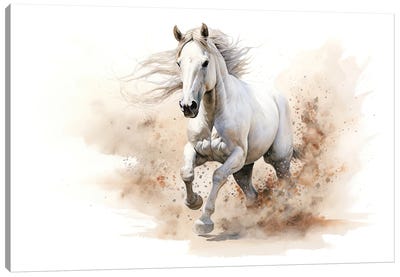 White Horse Galloping Canvas Art Print - Jane Rix