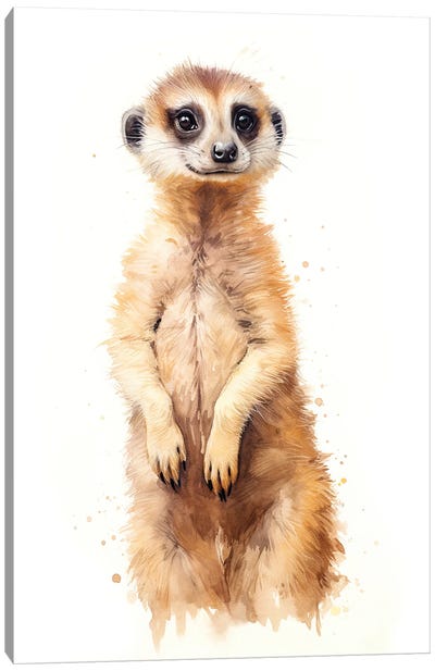 Meerkat Watercolour Canvas Art Print - Jane Rix