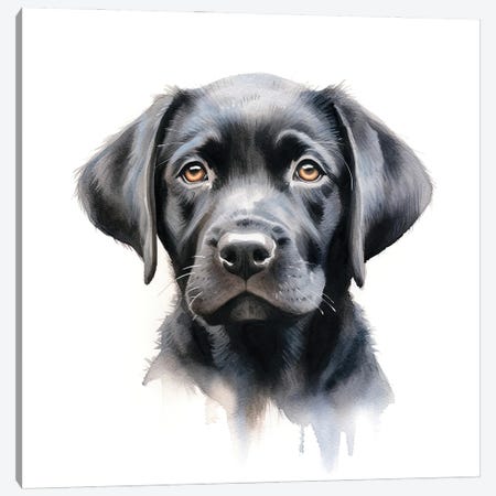 Black Labrador Portrait Canvas Print #JRX543} by Jane Rix Canvas Wall Art