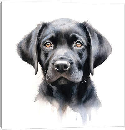 Black Labrador Portrait Canvas Art Print - Labrador Retriever Art