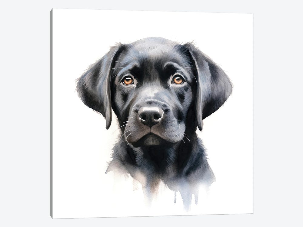 Black Labrador Portrait by Jane Rix 1-piece Art Print
