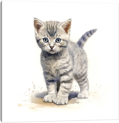 British Shorthair Cat Canvas Art Print - Jane Rix