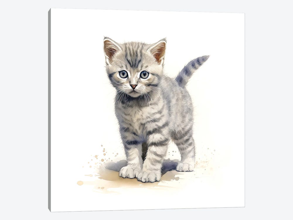 British Shorthair Cat by Jane Rix 1-piece Canvas Art