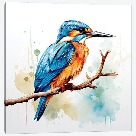Kingfisher Watercolour Canvas Print #JRX545} by Jane Rix Canvas Art Print