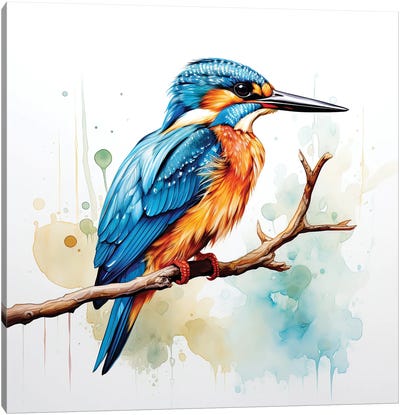 Kingfisher Watercolour Canvas Art Print - Kingfisher Art
