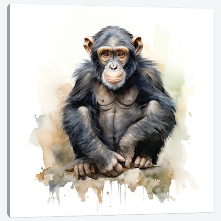 Young Chimp Watercolour Canvas Print #JRX547} by Jane Rix Canvas Art Print