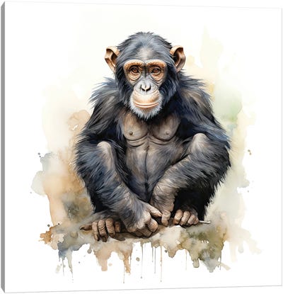 Young Chimp Watercolour Canvas Art Print - Chimpanzee Art