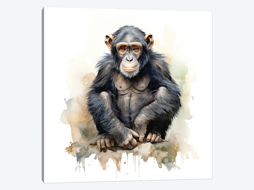 Young Chimp Watercolour by Jane Rix 1-piece Canvas Print