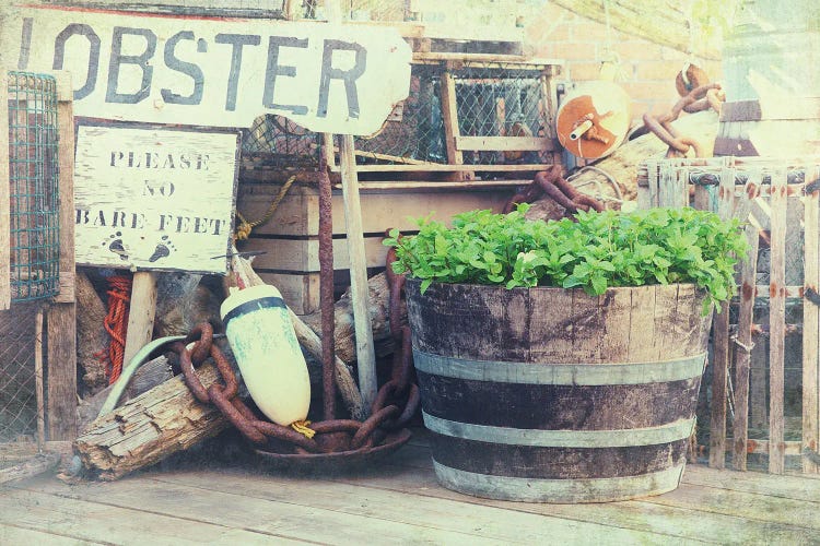 Lobster Pots And Fishing Tackle, Vintage Style by Jane Rix wall art