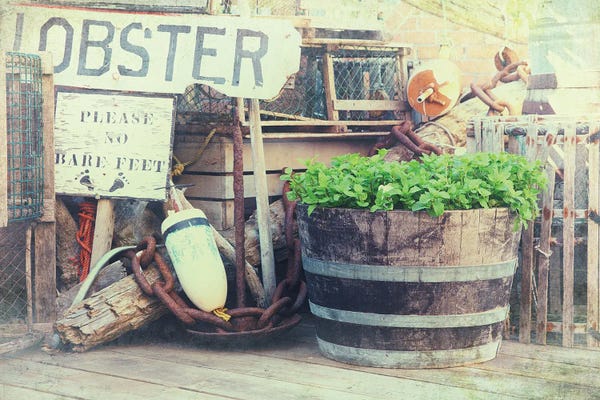 Still Life Photography: Lobster Pots And Fishing Tackle, Vintage Style by Jane Rix