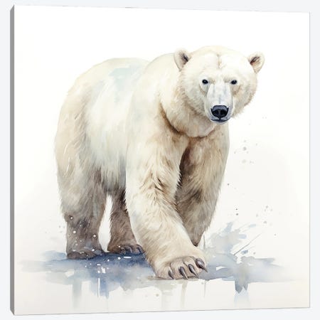 Polar Bear Watercolour Canvas Print #JRX553} by Jane Rix Art Print