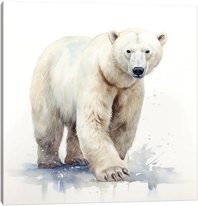 Polar Bear Watercolour Canvas Art Print - Polar Bear Art