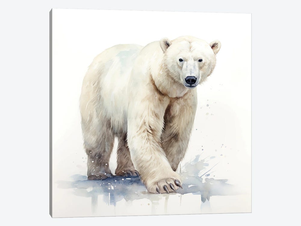 Polar Bear Watercolour by Jane Rix 1-piece Canvas Artwork