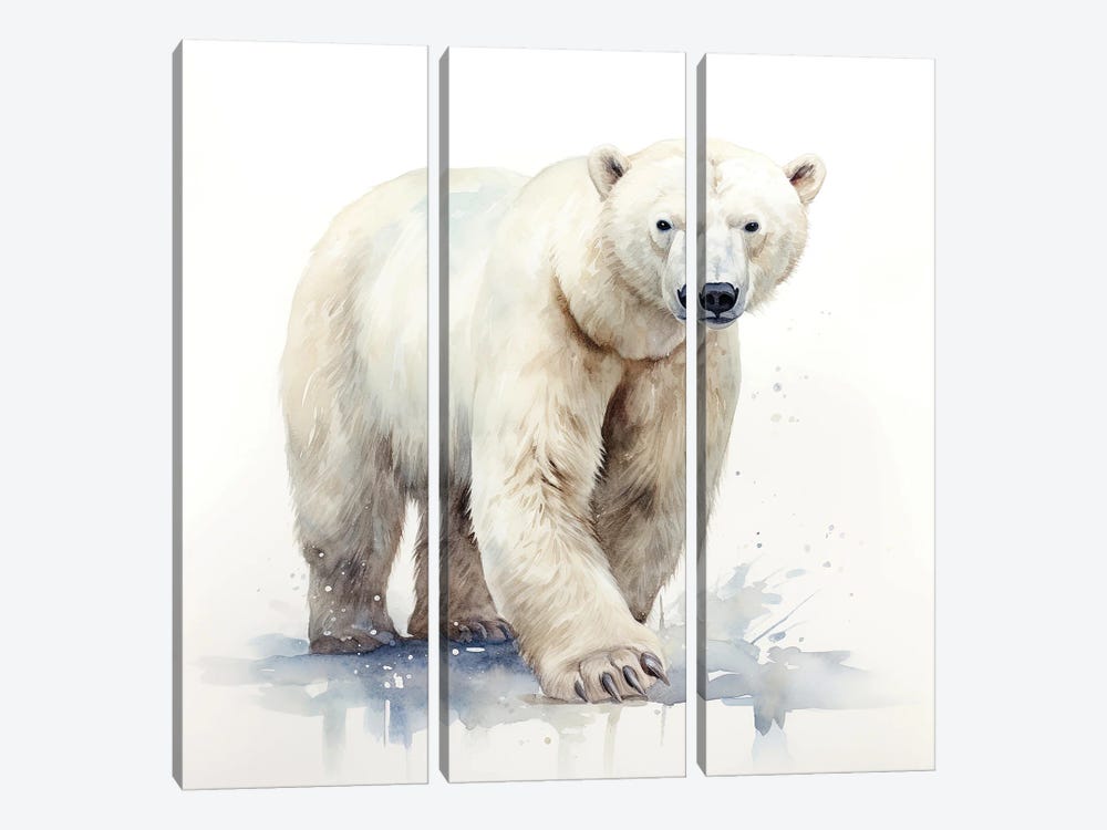 Polar Bear Watercolour by Jane Rix 3-piece Canvas Artwork
