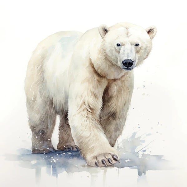 Polar Bears: Polar Bear Watercolour by Jane Rix