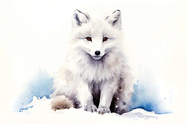 Arctic Fox In The Snow