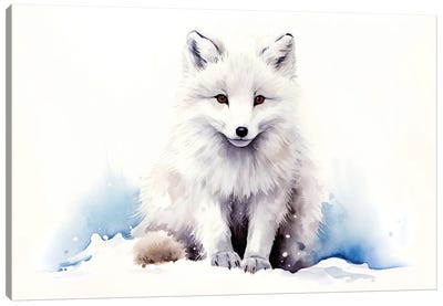 Arctic Fox In The Snow Canvas Art Print - Jane Rix