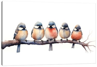 Birds On A Branch Canvas Art Print - Jane Rix