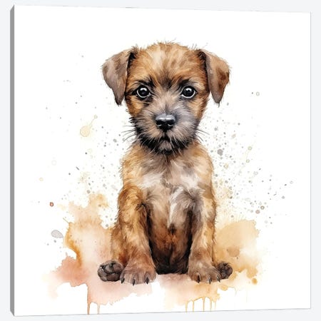 Border Terrier Puppy Watercolour Canvas Print #JRX557} by Jane Rix Canvas Art