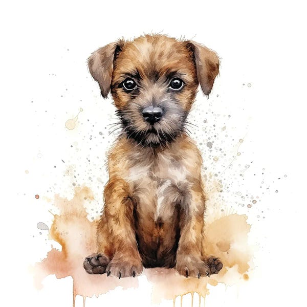 Terriers: Border Terrier Puppy Watercolour by Jane Rix