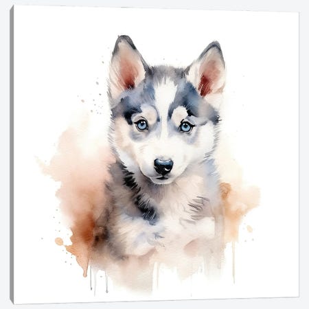 Husky Watercolour Portrait Canvas Print #JRX566} by Jane Rix Canvas Print