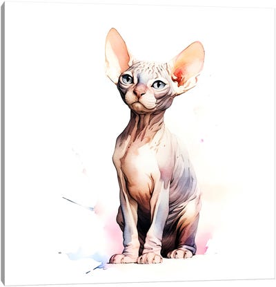 Sphynx Hairless Cat Canvas Art Print - Hairless Cat Art