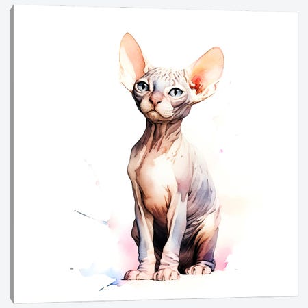 Sphynx Hairless Cat Canvas Print #JRX567} by Jane Rix Art Print