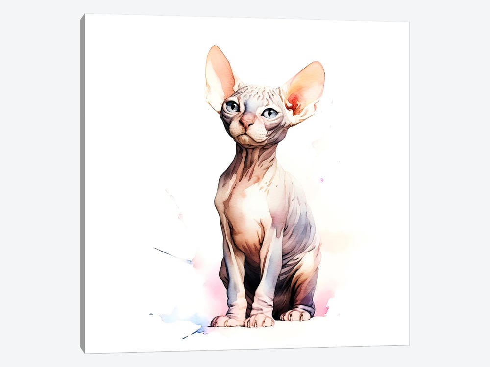 Sphynx Hairless Cat by Jane Rix 1-piece Art Print