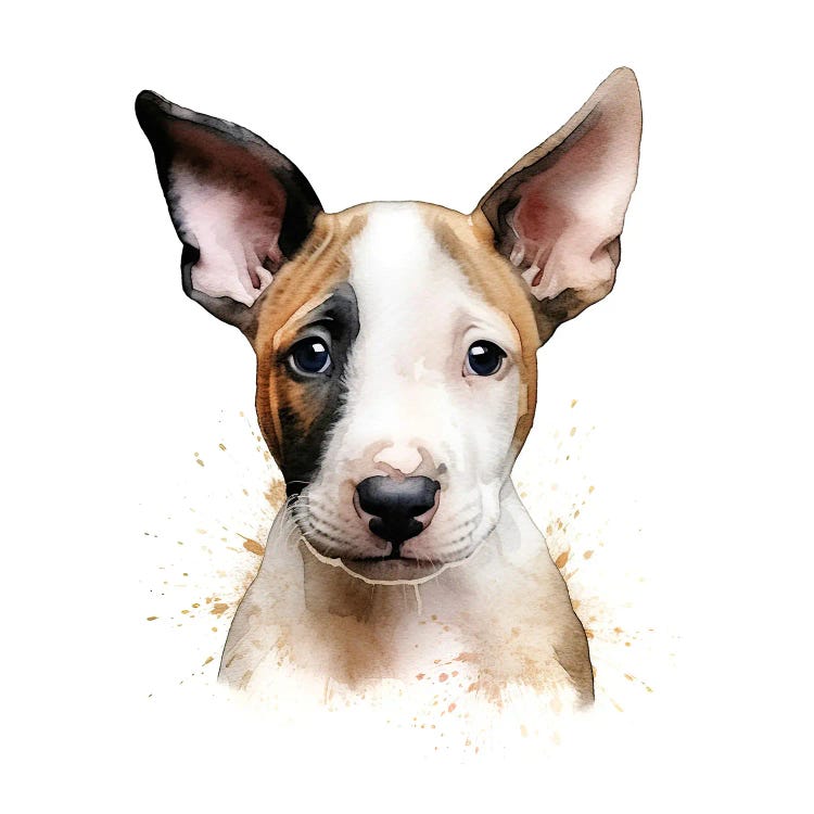 Bull Terrier Portrait by Jane Rix wall art