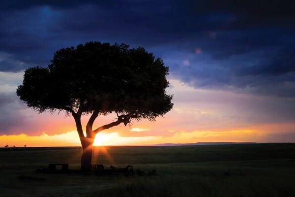 Maasai Mara National Reserve: Sunset In The Masai Mara by Jane Rix