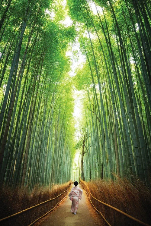 Geisha Walking Through The Bamboo Grove, Kyoto by Jane Rix wall art
