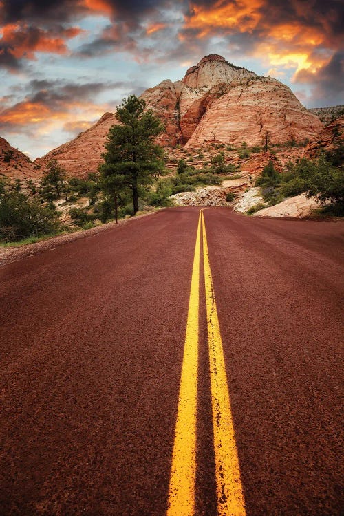 On The Road In Zion At Sunset, Usa