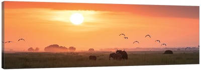 Elephants At Sunrise, Amboseli Canvas Art Print