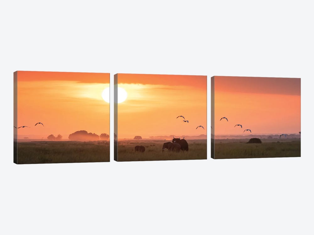 Elephants At Sunrise, Amboseli by Jane Rix 3-piece Canvas Print