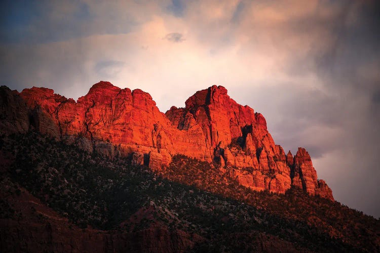 Zion At Sunset, Usa