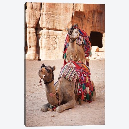 Camels In Petra, Jordan Canvas Print #JRX8} by Jane Rix Canvas Artwork
