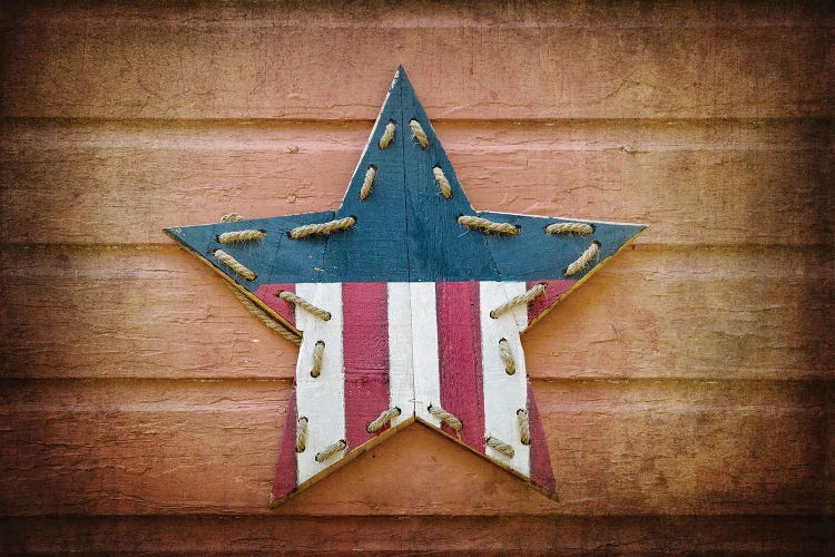 Vintage Usa Star by Jane Rix wall art