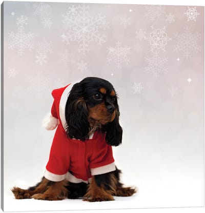 Cavalier King Charles Spaniel With Christmas Background Canvas Art Print - Spaniels