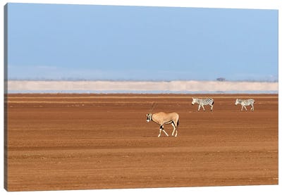 One Oryx And Two Zebra In Amboseli Canvas Art Print - Jordy Blue