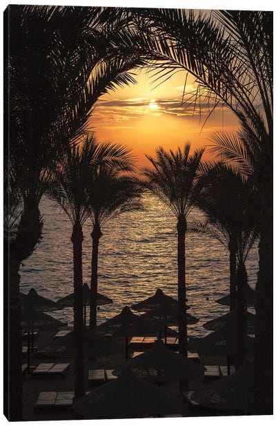 Sunrise Over The Red Sea, Egypt Canvas Art Print - Jane Rix