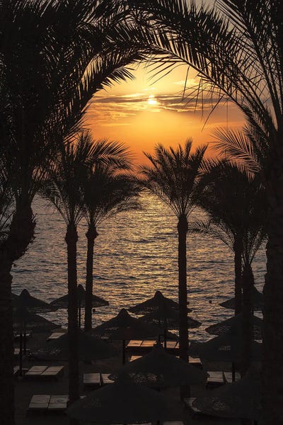 Jane Rix: Sunrise Over The Red Sea, Egypt by Jane Rix