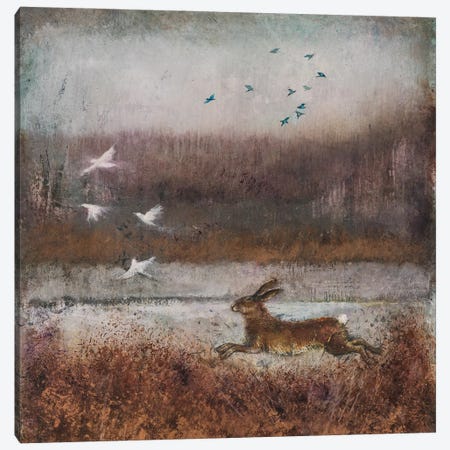 Golden Hare Canvas Print #JRZ11} by Joe Ramm Canvas Art Print