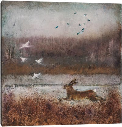 Golden Hare Canvas Art Print - Rabbit Art